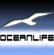 Oceanlife S.r.l.