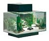 Askoll fluval edge