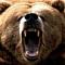 bEar avatar