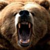 L'avatar di bEar