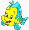 starfish avatar