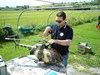 L'avatar di Paologiu