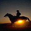L'avatar di countryhorse