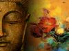 L'avatar di madazen