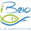 ibrio.it avatar