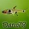 Dario78 avatar