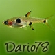 L'avatar di Dario78