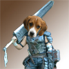 beaglerider avatar