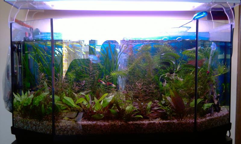 IMAG0091