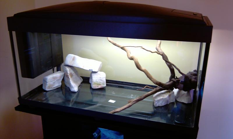 Acquario da 220 lt in allestimento prima versione
