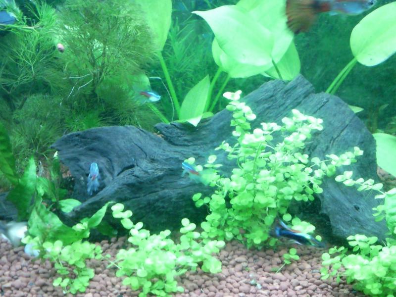Foto0310