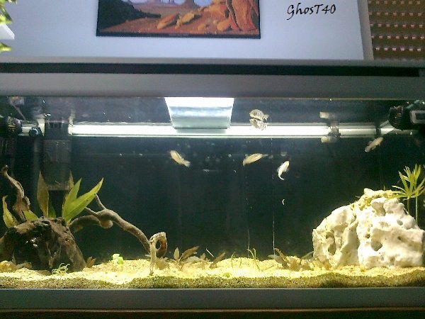 Foto0186