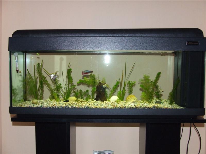 Acquario al 25 Marzo 2010