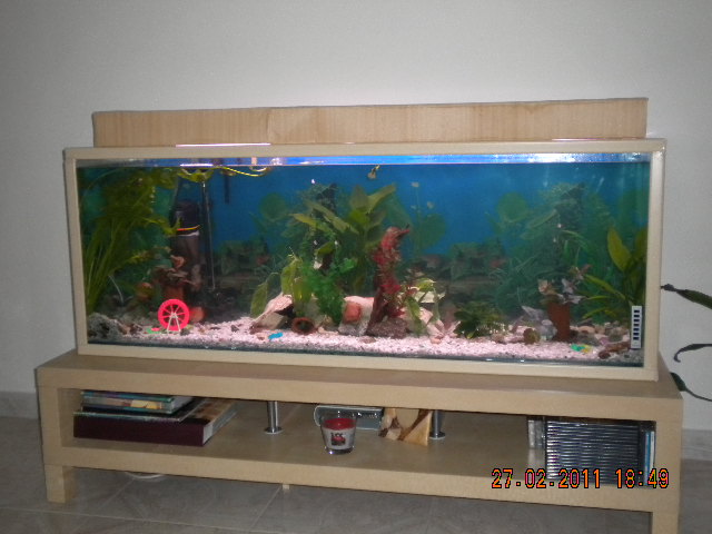 DSCN0374