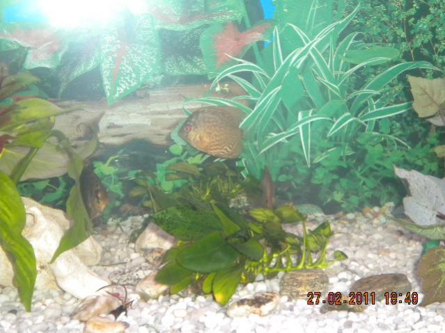 DSCN0373