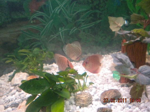 DSCN0394
