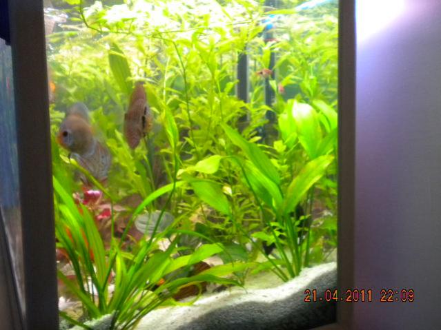 DSCN0512