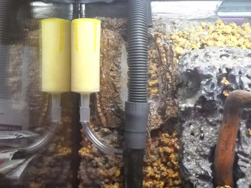 Skimmer di superfice
