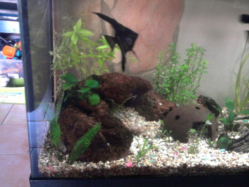 Foto0689