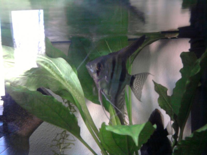 Foto0671