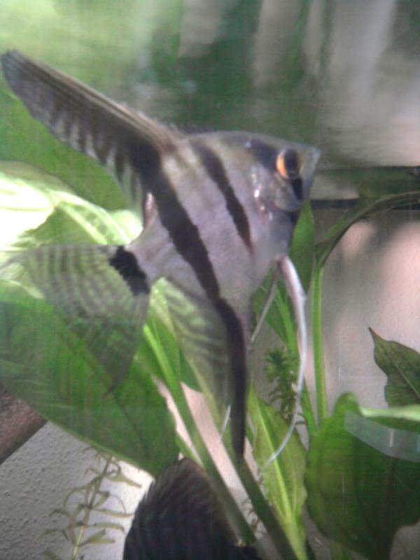 Foto0678