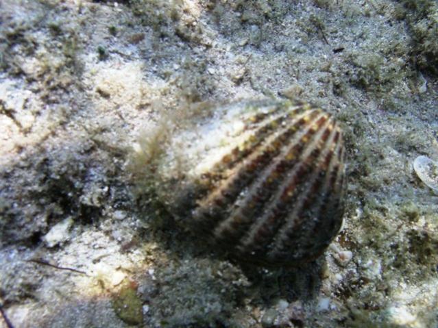 PIC 0103