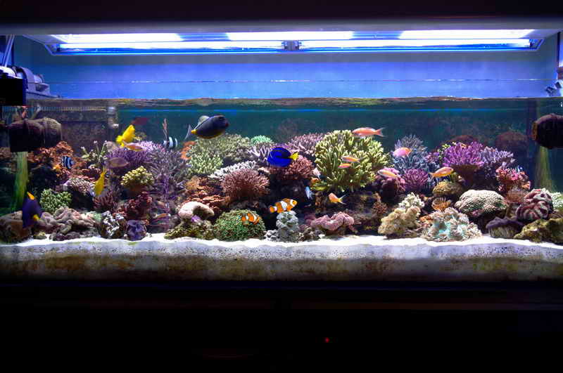 IMGP0473