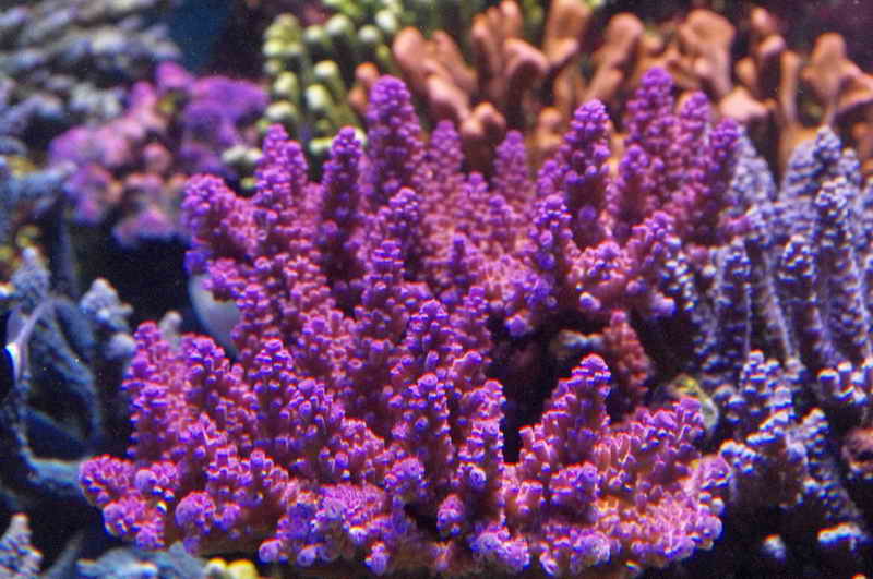 IMGP0518