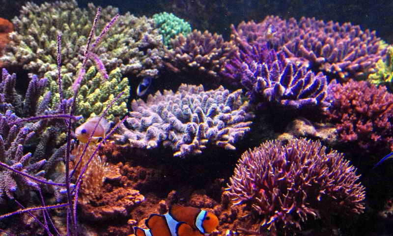 IMGP0522
