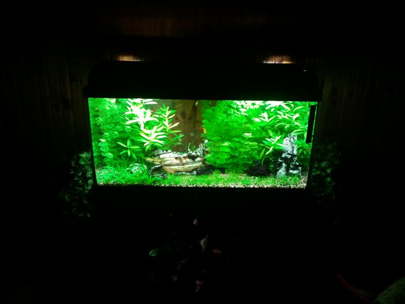 Vecchio 90L