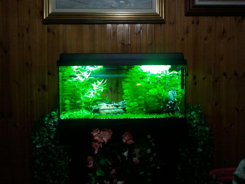 Vecchio 90L