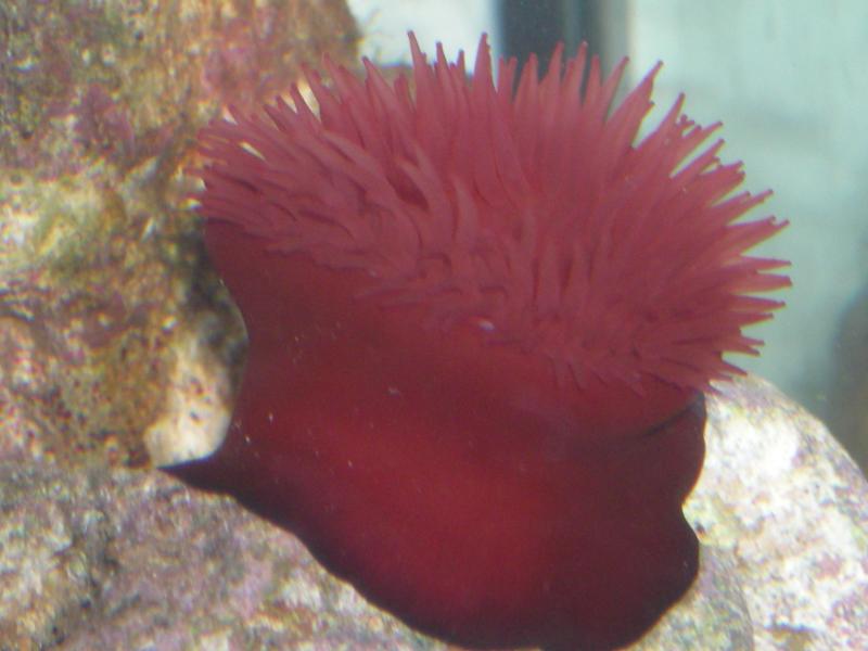 DSCN0502