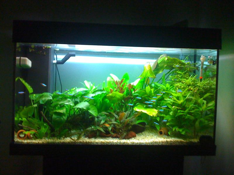 IMG 0877[1]