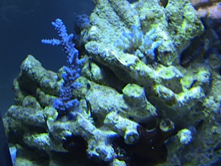 IMG 1500
