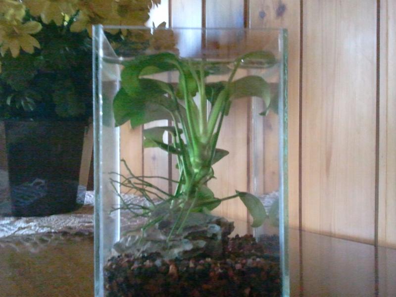 2011 07 17 18.35.25
