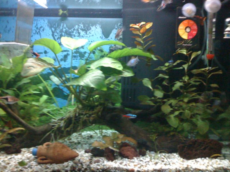 IMG 0387[1]