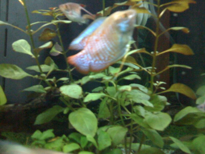 IMG 0421[1]