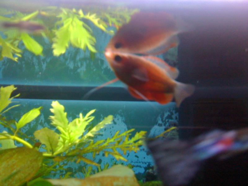 IMG 0481[1]