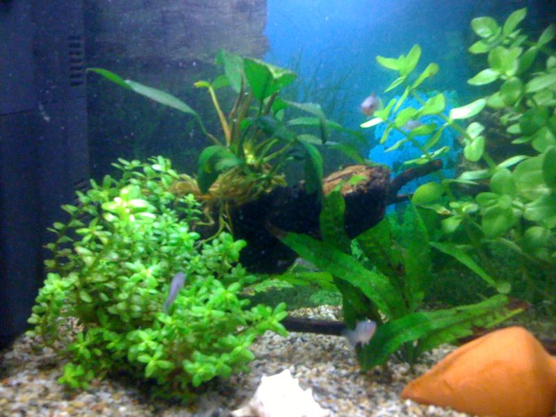 IMG 0012[1]