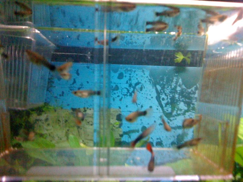 IMG 0383[1]