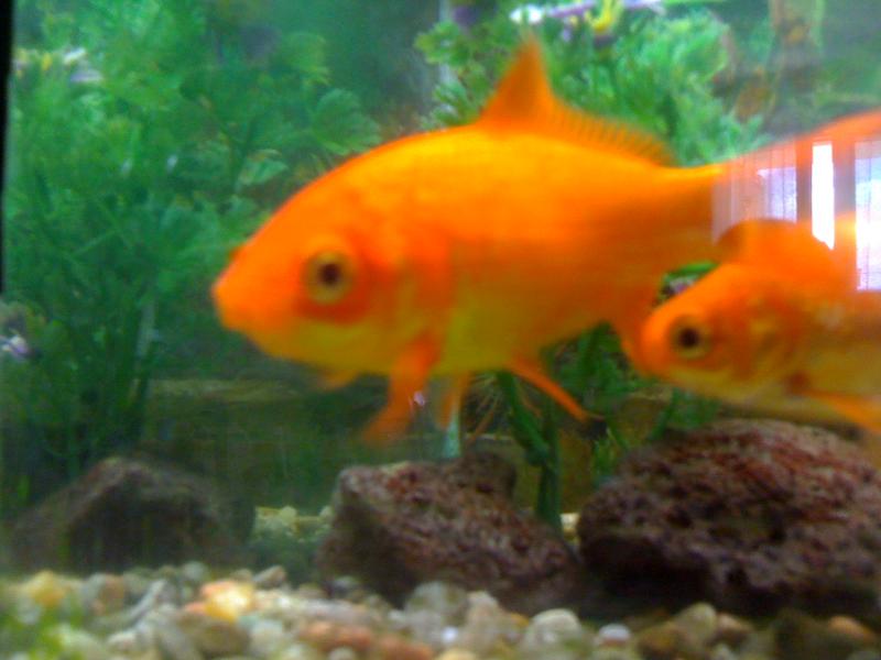 IMG 0885[1]
