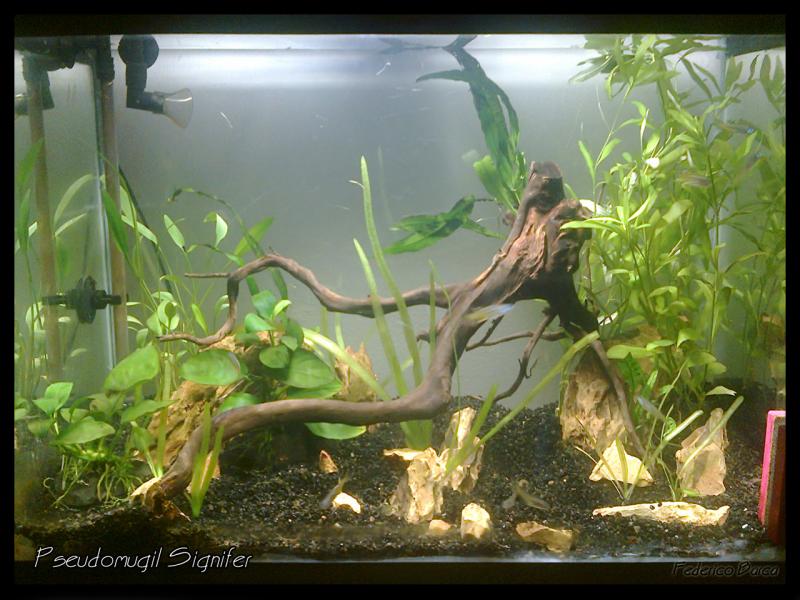 Panoramica 3
