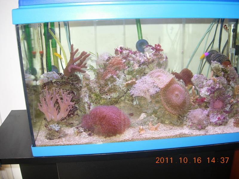 Ottobre 2011