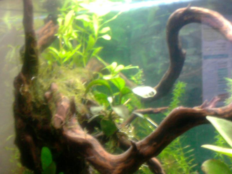 Foto0201