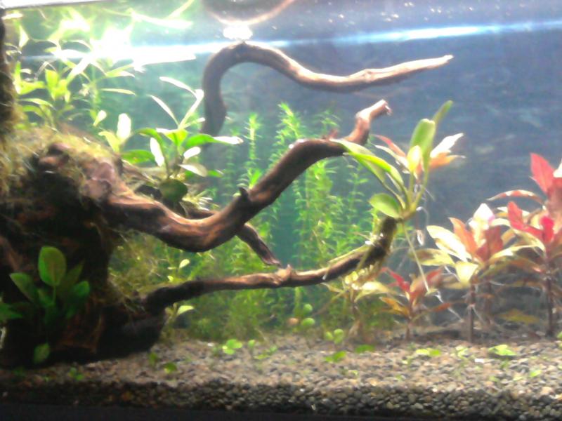 Foto0218
