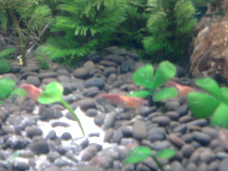 Foto0214