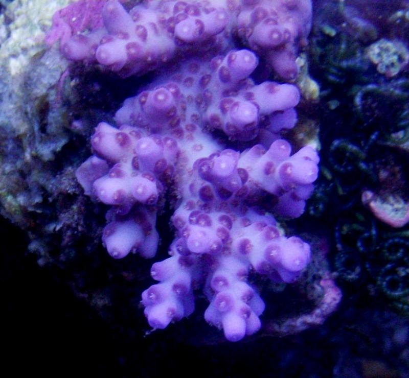 DSCF2813