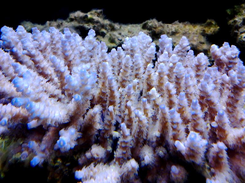 2013 12 29 12.59.17