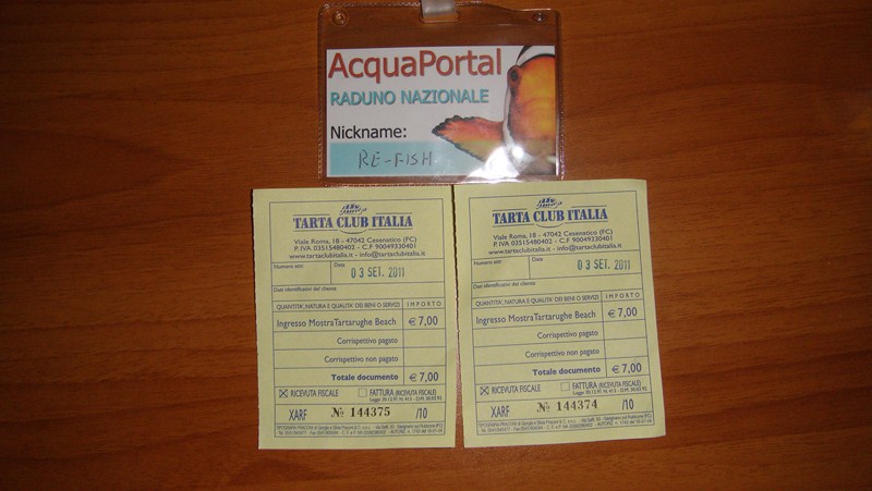 ACQUA BEACH