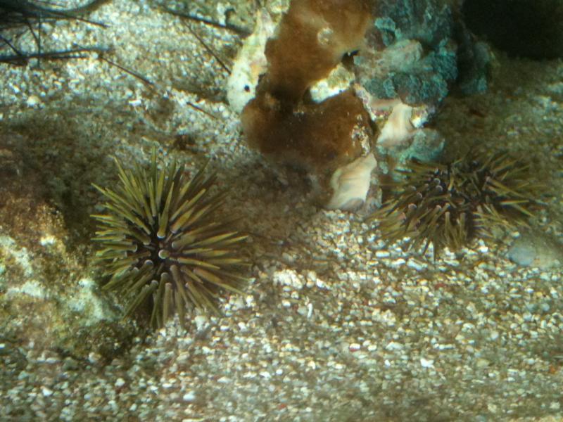 Picture 004